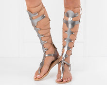 Load image into Gallery viewer, Steel Hover