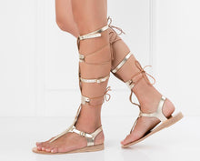 Load image into Gallery viewer, Gold Gold (insider)